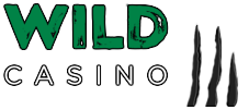 Wild Casinon Logo