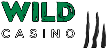 Wild Casinon Logo